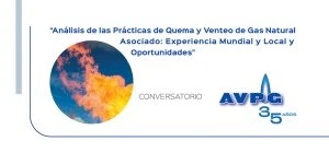 Conversatorio sobre “Análisis de las Prácticas de Quema y Venteo de Gas Natural Asociado: Experiencia Mundial y Local y Oportunidades”.