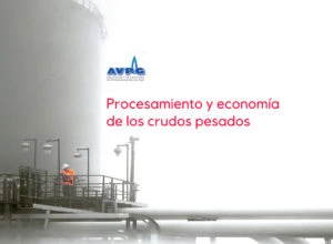 Taller “Procesamiento y Economía de los Crudos Pesados”