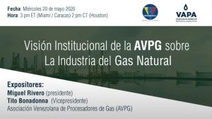 Visión Institucional de la AVPG sobre la Industria del Gas Natural